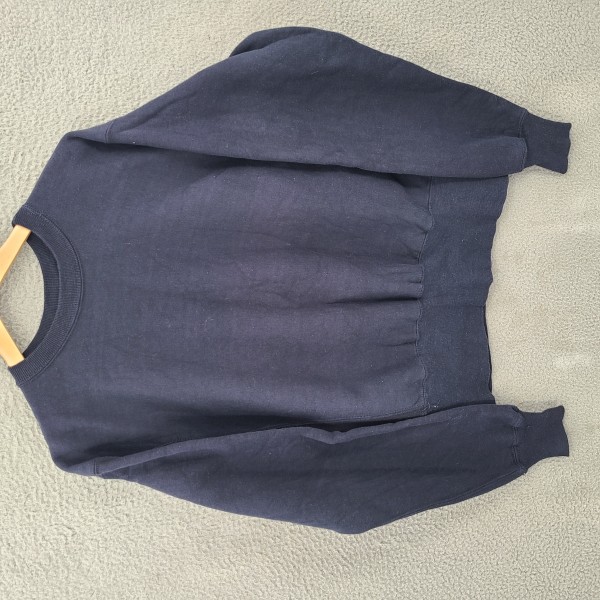 Vintage 1950s Champion Reverse weave Sweatshirt or reproduction?