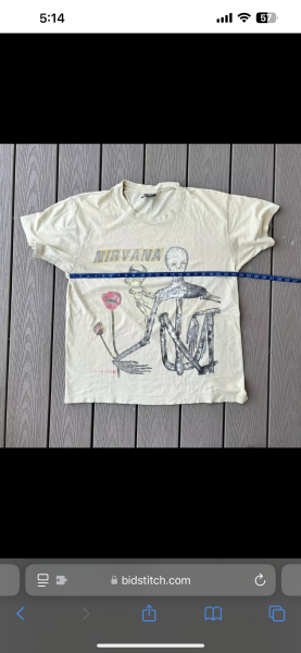 Nirvana Insecticide LC