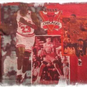 chicago bulls 1990