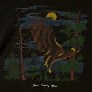 Vintage Smoky Mountains Tourist T-Shirt w/ Eagle