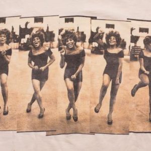 Tina Turner T-Shirt, 1996 Wildest Dreams Tour, Vintage 90s