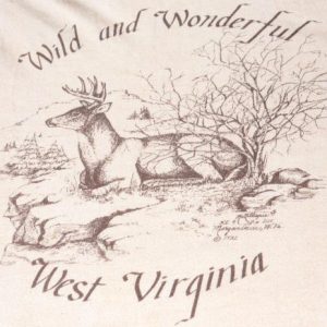 Vintage 1980s Wild Wonderful West Virginia Beige T Shirt M