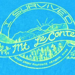 Vintage 1980s LeConte Lodge Smoky Mountains Blue T Shirt XL