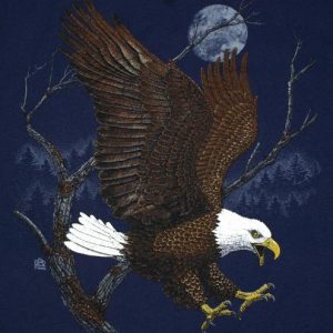 Vintage 1980s BALD EAGLE Blue T-Shirt