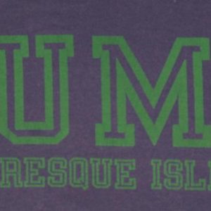 Vintage 1980s University Maine Presque Isle T-shirt