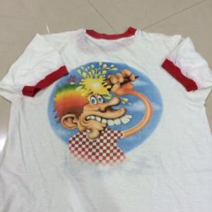 Vintage T-Shirt Grateful Dead 1973 Jester-Ice Cream Kid