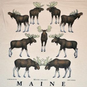 Vintage 90s Mooseville Maine Moose T-Shirt - S/M