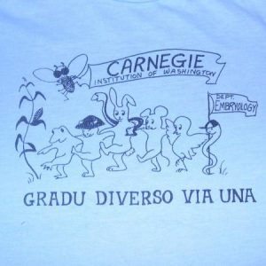 VTG 80s Carnegie Institution Embryology T-Shirt Fits S to M