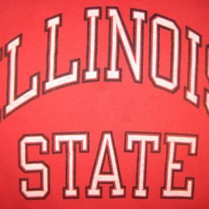 Vintage 1980's Illinois State t-shirt, Champion brand, large