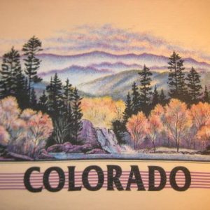 Vintage 1990 Colorado in autumn scene t-shirt, medium