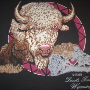 Vintage 1980's 1990's Wyoming bison t-shirt, large