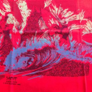 Vintage Hot Sessions Youth Surfing T-Shirt