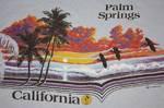 L * vtg 80s 1982 PALM SPRINGS CALIFORNIA shirt * tourist bea