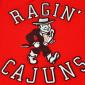 Vintage 1980s University of Louisiana Ragin Cajuns T-Shirt L