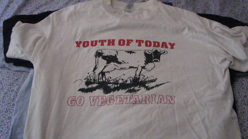 Vintage Youth Of Today “Go Vegetarian” shirt tee