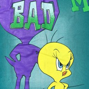 Vintage 1990s Tweety Bird Warner Brothers Aqua T-Shirt XL