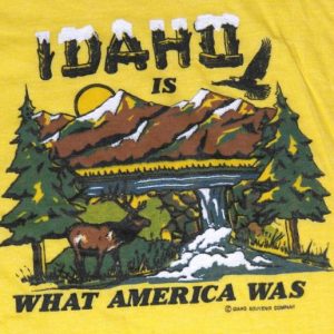 Vintage 1980s Idaho Yellow Screen Stars T-Shirt