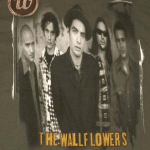 1996 Wallflowers Bringing Down the Horse T-Shirt Jakob Dylan