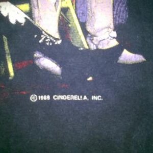 Cinderella tour shirt