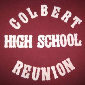 Vintage 80's t-shirt, high school reunion, Screen Stars, M L