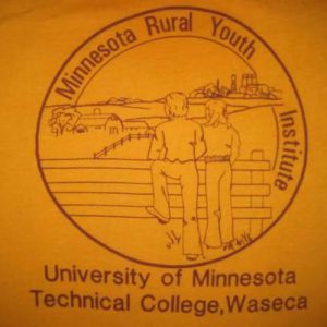 Late 70's early 80's U of M vintage t-shirt, S M