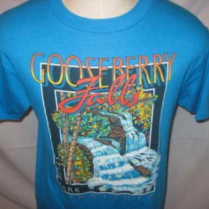 Vintage 1980's Gooseberry Falls t-shirt, M L