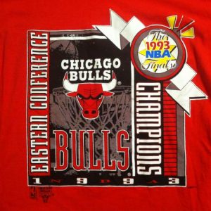 Vintage 1993 Chicago Bulls championship t-shirt