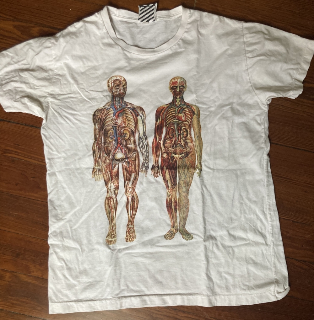 Male & Female Anatomical t-shirt